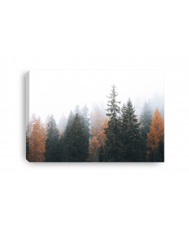 Obraz na płótnie canvas duży 120x80 kolorowe jesienne drzewa we mgle las studiograf