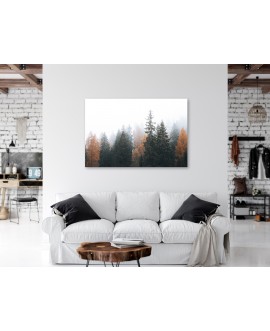 Obraz na płótnie canvas duży 120x80 kolorowe jesienne drzewa we mgle las studiograf