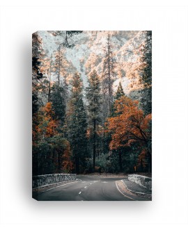 Obraz na płótnie canvas duży 120x80 jesienny las pomarańczowe drzewa droga studiograf