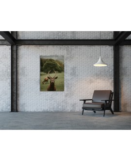 Obraz na płótnie canvas duży 120x80 jeleń jelonek na polanie drzewa góry studiograf