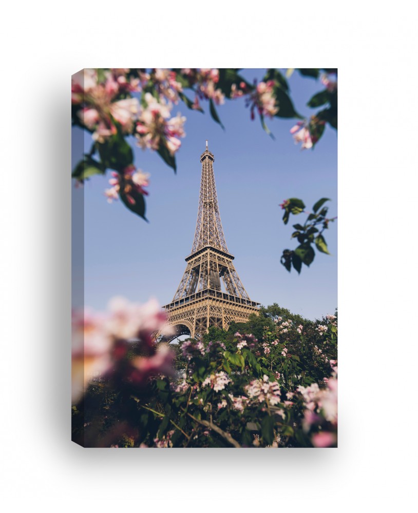 Obraz na płótnie canvas duży 120x80 różowe kwiaty wieża Eiffla Paryż  studiograf