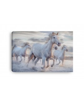 Obraz na płótnie canvas duży 120x80 białe konie w galopie woda niebo studiograf
