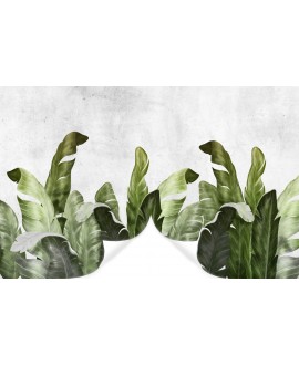 Fototapeta 3D na ścianę  na wymiar flizelinowa duże tropikalne zielone liście na tle betonu studiograf