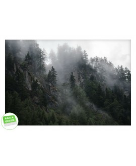 Fototapeta 3D na ścianę mroczny las góry las we mgle drzewa mgła na wymiar flizelinowa studiograf