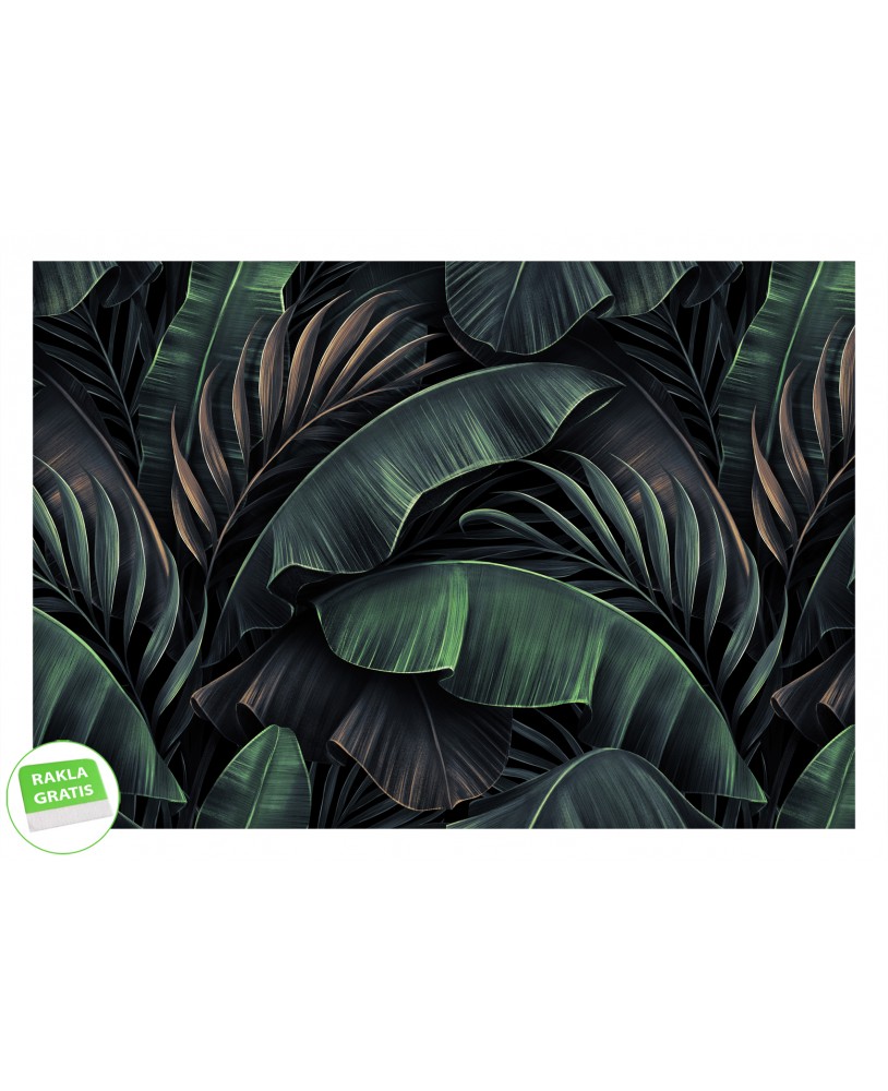 Fototapeta 3D na ścianę tropikalne duże zielone liście na wymiar flizelinowa samoprzylepna struktura studiograf