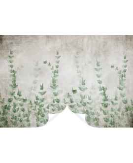 Fototapeta imitacja betonu zwisające liście bluszcz na wymiar fototapeta samoprzylepna studiograf
