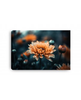 Obraz na płótnie canvas kwiat łąka  gerbery pomarańczowy 120x80 studiograf
