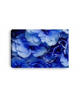 Obraz na płótnie canvas XL niebieskie błękitne kwiaty 120x80 płatki kwiatów studiograf