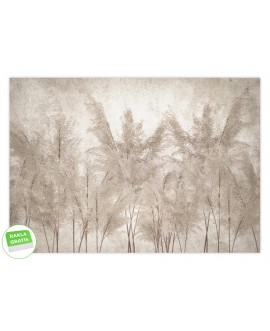 Fototapeta na wymiar trawy pampasowe beże