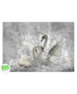 Fototapeta na wymiar Łabędzie w Szarościach beton