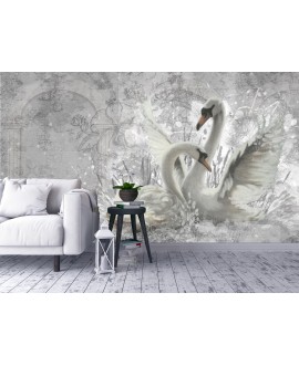 Fototapeta na wymiar Łabędzie w Szarościach beton