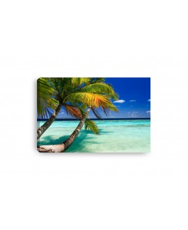 Obraz na płótnie canvas poziomy palmy morze błękitne niebo plaża studiograf
