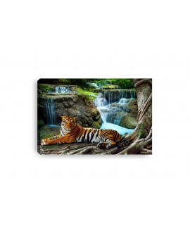 Obraz na płótnie canvas poziomy tygrys wodospad dżungla studiograf