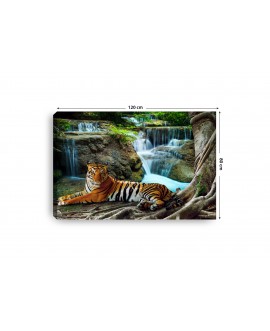 Obraz na płótnie canvas poziomy tygrys wodospad dżungla studiograf