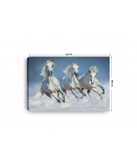 Obraz na płótnie canvas poziomy konie galop niebo zwierzęta studiograf