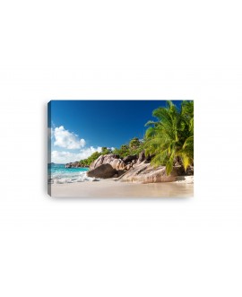 Obraz na płótnie canvas plaża morze palmy niebo studiograf