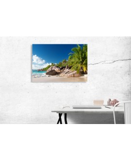 Obraz na płótnie canvas plaża morze palmy niebo studiograf