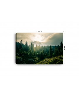 Obraz na płótnie canvas poziomy las góry słońce chmury widok zieleń studiograf