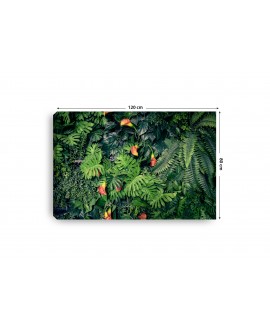 Obraz na płótnie canvas poziomy liście kwiaty zieleń dżungla studiograf
