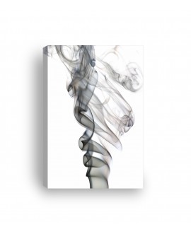 Obraz na płótnie canvas pionowy dym abstrakcja szarość studiograf