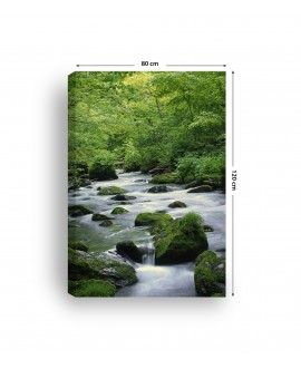 Obraz na płótnie canvas pionowy rzeka kamienie mech roślinność zieleń studiograf