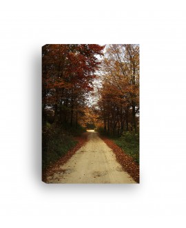 Obraz na płótnie canvas pionowy ścieżka aleja drzew jesień liście studiograf