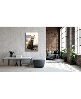 Obraz na płótnie canvas pionowy lis klify morze zwierzęta studiograf