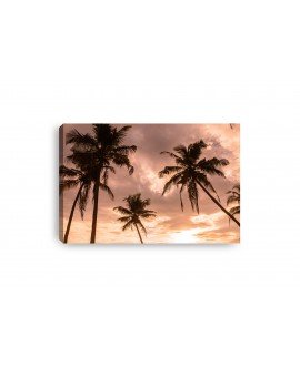 Obraz na płótnie canvas poziomy palmy niebo zachód słońca studiograf