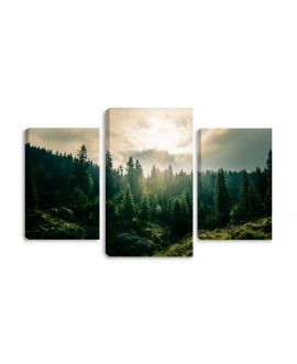 Obraz na płótnie canvas tryptyk góry las zieleń słońce potrójny obraz studiograf