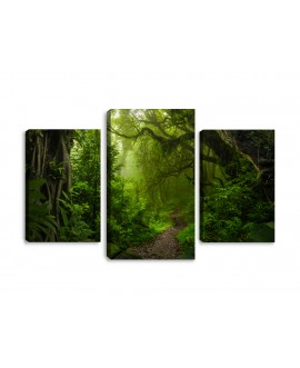 Obraz na płótnie canvas tryptyk potrójny obraz zieleń ścieżka las studiograf