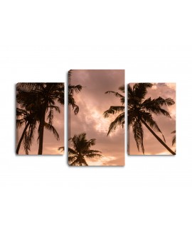 Obraz na płótnie canvas tryptyk potrójny obraz palmy niebo tropiki studiograf