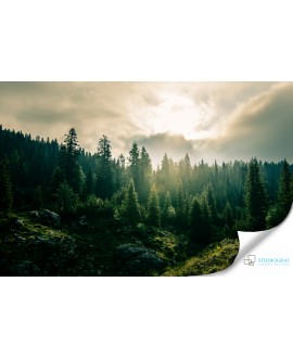 Fototapeta 3D na ścianę  na wymiar  fizelinowa góry las zieleń studiograf