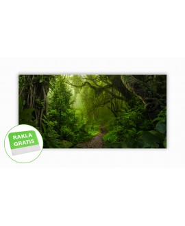 Fototapeta 3D na ścianę  na wymiar  fizelinowa las ścieżka drzewa zieleń studiograf