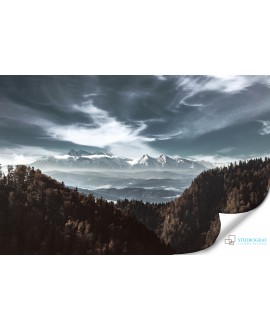 Fototapeta 3D na ścianę  na wymiar  fizelinowa góry las drzewa niebo studiograf