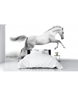 Fototapeta 3D na ścianę  na wymiar  fizelinowa koń galop biały studiograf