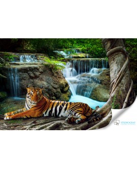 Fototapeta 3D na ścianę  na wymiar  fizelinowa tygrys wodospad dżungla drzewa studiograf