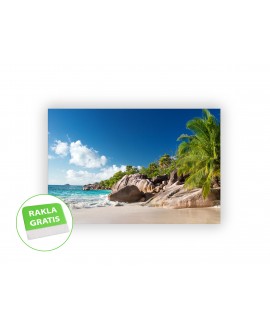 Fototapeta 3D na ścianę  na wymiar  fizelinowa morze plaża palmy krajobraz tropiki studiograf