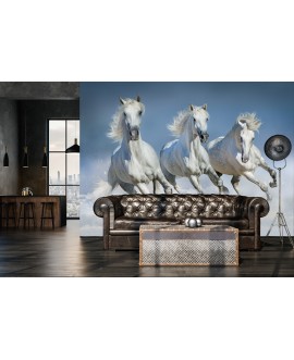 Fototapeta 3D na ścianę  na wymiar  fizelinowa konie galop zwierzęta zima studiograf