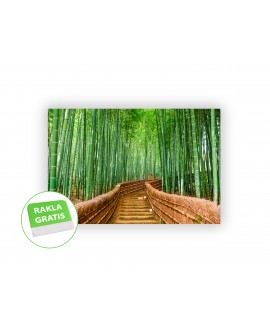 Fototapeta 3D na ścianę  na wymiar  fizelinowa most ścieżka zieleń bambusy studiograf