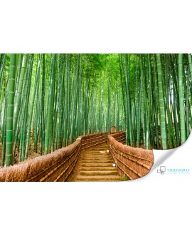 Fototapeta 3D na ścianę  na wymiar  fizelinowa most ścieżka zieleń bambusy studiograf