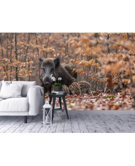 Fototapeta 3D na ścianę  na wymiar  fizelinowa las dzik jesień liście dziki studiograf