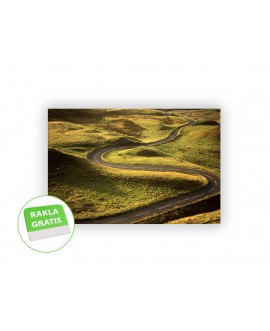 Fototapeta 3D na ścianę  na wymiar  fizelinowa droga zieleń góry studiograf