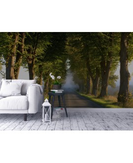 Fototapeta 3D na ścianę  na wymiar  fizelinowa las alejka droga mgła aleja studiograf
