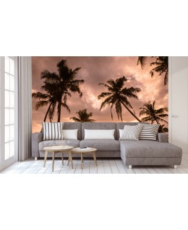 Fototapeta 3D na ścianę  na wymiar  fizelinowa palmy tropiki niebo pomarańczowy zachód słońca studiograf