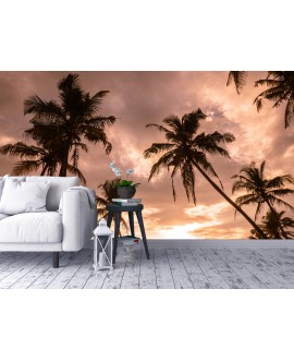 Fototapeta 3D na ścianę  na wymiar  fizelinowa palmy tropiki niebo pomarańczowy zachód słońca studiograf