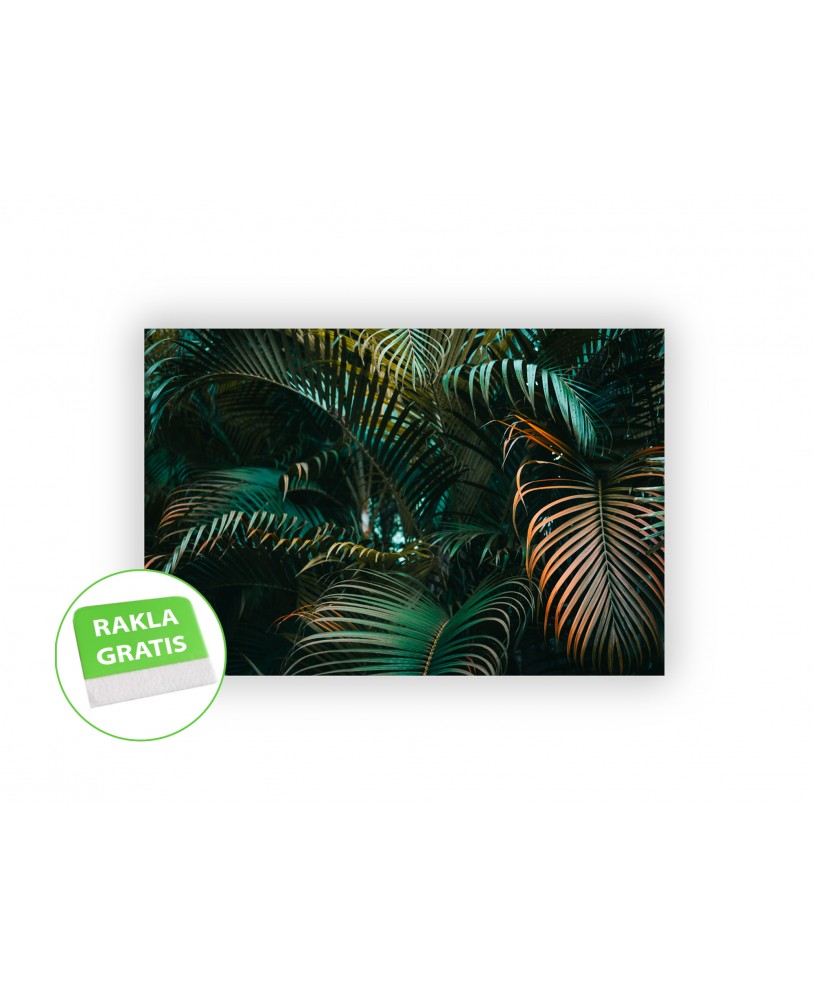 Fototapeta 3D na ścianę  na wymiar  fizelinowa liście zieleń dżungla palmy studiograf