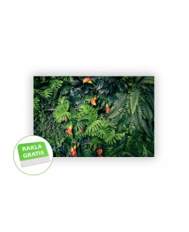 Fototapeta 3D na ścianę  na wymiar  fizelinowa liście kwiaty monstera dżungla studiograf