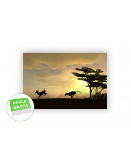 Fototapeta 3D na ścianę  na wymiar  fizelinowa zachód słońca gepard antylopa drzewa studiograf