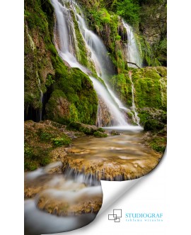 Fototapeta 3D na ścianę  na wymiar  fizelinowa wodospad skały góry zieleń mech studiograf