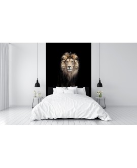 Fototapeta 3D na ścianę  na wymiar  fizelinowa zwierzęta lew czarne tło czerń studiograf